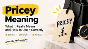 Pricey Meaning: What It Really Means And How To Use It Correctly